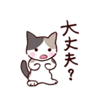 猫のひとり暮らし♡日常会話（個別スタンプ：27）