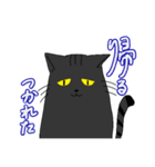 かえるしまねこ（個別スタンプ：2）