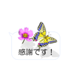 スマホの上の花と蝶（アニメーション）（個別スタンプ：7）