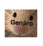 I am Gengiro‼︎（個別スタンプ：1）