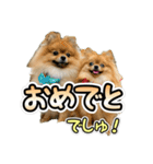 ぽん太くんといなりちゃん2（個別スタンプ：2）