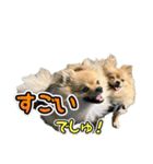 ぽん太くんといなりちゃん2（個別スタンプ：6）
