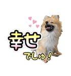 ぽん太くんといなりちゃん2（個別スタンプ：10）