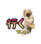 ぽん太くんといなりちゃん2（個別スタンプ：14）