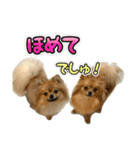 ぽん太くんといなりちゃん2（個別スタンプ：18）