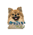 ぽん太くんといなりちゃん2（個別スタンプ：27）
