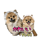 ぽん太くんといなりちゃん2（個別スタンプ：28）