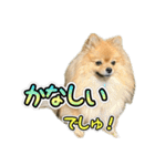 ぽん太くんといなりちゃん2（個別スタンプ：32）
