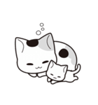 猫、猫、猫、猫、猫、猫、猫、猫（個別スタンプ：7）