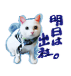 スタンプになったポルチェ（個別スタンプ：15）