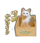 スタンプになったポルチェ（個別スタンプ：16）