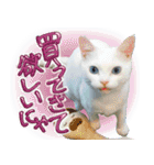 スタンプになったポルチェ（個別スタンプ：18）