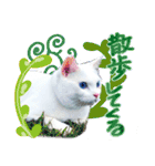 スタンプになったポルチェ（個別スタンプ：23）
