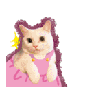 スタンプになったポルチェ（個別スタンプ：24）