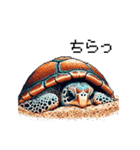 ドット絵 ウミガメ 日常会話（個別スタンプ：28）