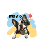 フレンチブルドッグ 鼻ぺちゃ犬 モリー 2（個別スタンプ：8）