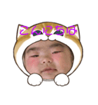 ふわふわ猫大好きスタンプ（個別スタンプ：1）
