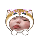 ふわふわ猫大好きスタンプ（個別スタンプ：5）