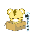 トラが好き3（個別スタンプ：27）