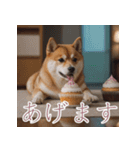 充実Doge（個別スタンプ：2）