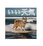 充実Doge（個別スタンプ：3）