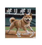 充実Doge（個別スタンプ：7）