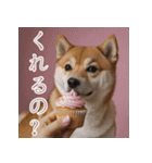 充実Doge（個別スタンプ：8）