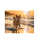 充実Doge（個別スタンプ：9）