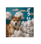 充実Doge（個別スタンプ：12）