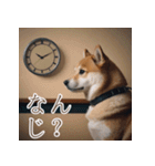 充実Doge（個別スタンプ：13）