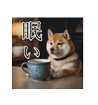 充実Doge（個別スタンプ：14）