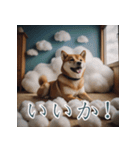 充実Doge（個別スタンプ：15）