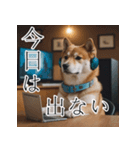 充実Doge（個別スタンプ：16）