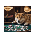 充実Doge（個別スタンプ：17）