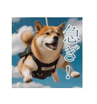 充実Doge（個別スタンプ：18）