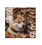 充実Doge（個別スタンプ：19）