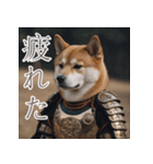 充実Doge（個別スタンプ：22）