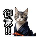 江戸っ子猫侍 挨拶スタンプ（個別スタンプ：7）