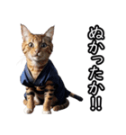 江戸っ子猫侍 挨拶スタンプ（個別スタンプ：8）