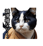 江戸っ子猫侍 挨拶スタンプ（個別スタンプ：10）