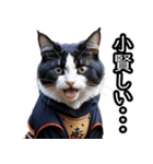 江戸っ子猫侍 挨拶スタンプ（個別スタンプ：13）