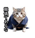 江戸っ子猫侍 挨拶スタンプ（個別スタンプ：16）