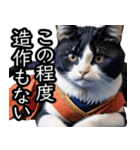 江戸っ子猫侍 挨拶スタンプ（個別スタンプ：19）