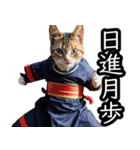 江戸っ子猫侍 挨拶スタンプ（個別スタンプ：40）