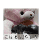 こはるちゃんの可愛い写真スタンプ（個別スタンプ：2）