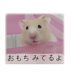 こはるちゃんの可愛い写真スタンプ（個別スタンプ：21）