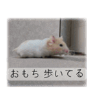 こはるちゃんの可愛い写真スタンプ（個別スタンプ：22）