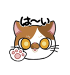 リアクションねこスタンプ（個別スタンプ：4）