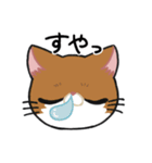 リアクションねこスタンプ（個別スタンプ：19）