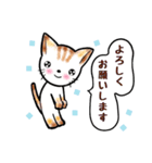 やさしいネコちゃん☆日常（個別スタンプ：1）